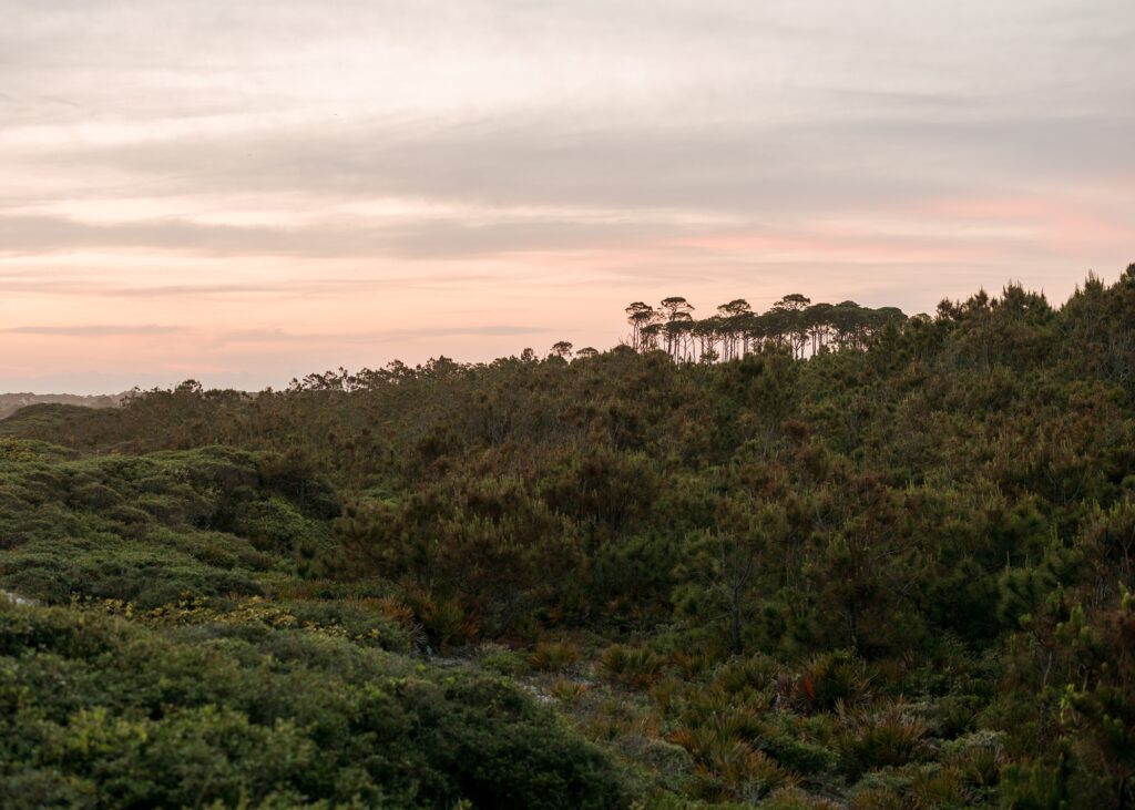 Santa Rosa Beach FL Photographers