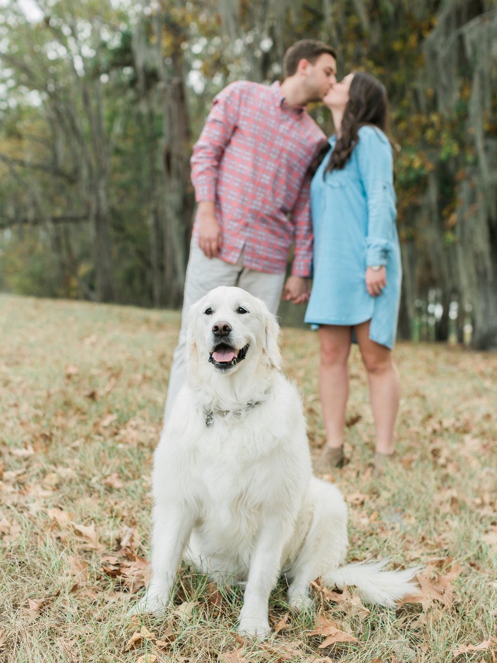  Couple take Engagement Pictures with their cute dog. 
