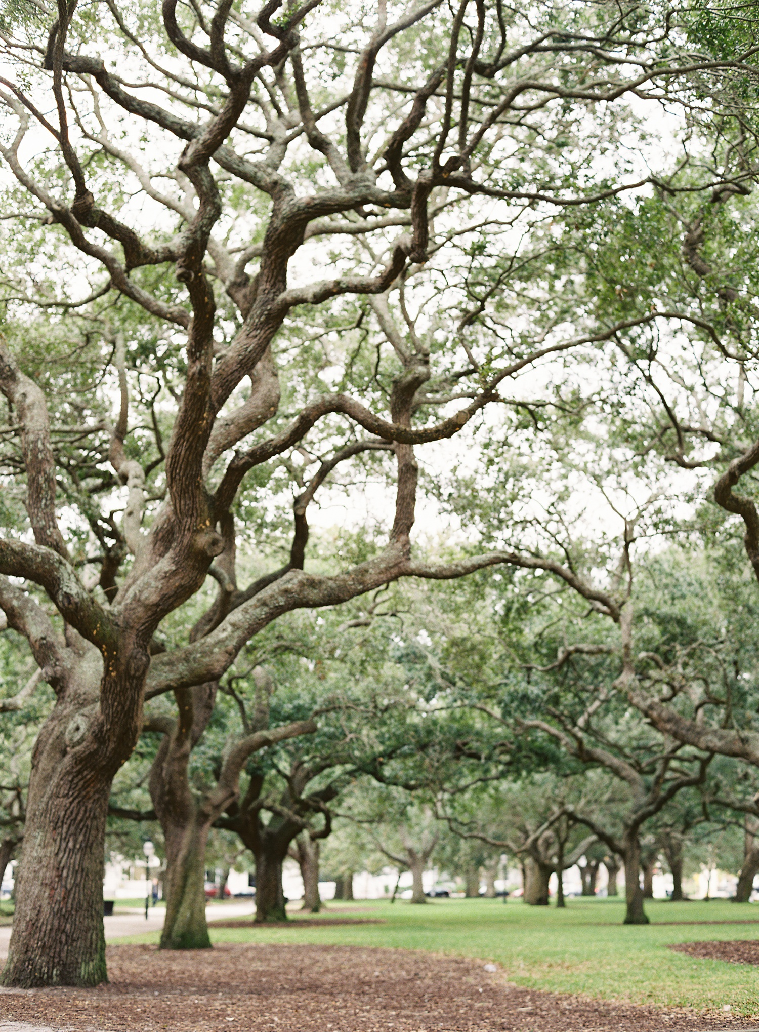 Charleston Wedding Photographer